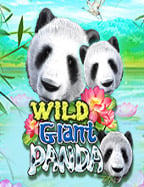 pg ด รา ก้อน สูตรลับทำเงินง่ายๆ